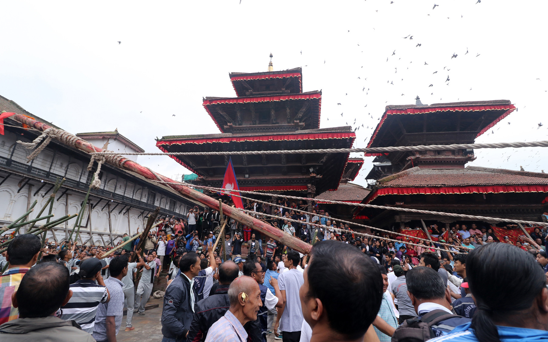 हनुमानढोकामा लिङ्गो ठड्याएपछि इन्द्रजात्रा सुरु