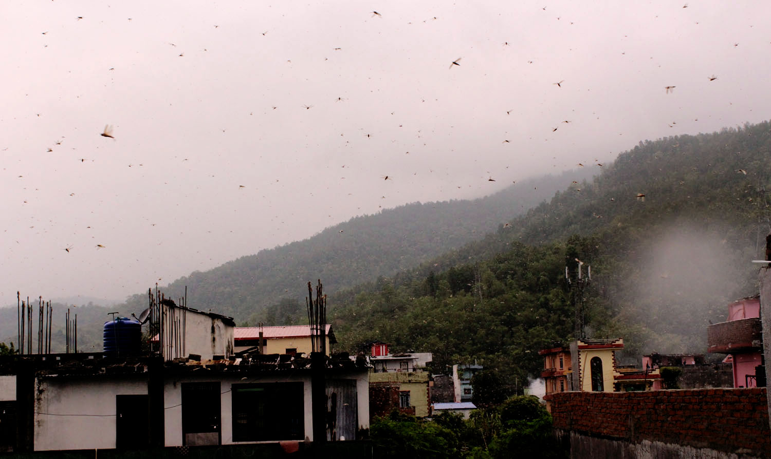 कसरी आयाे नेपालमा सलहकाे हूल ?