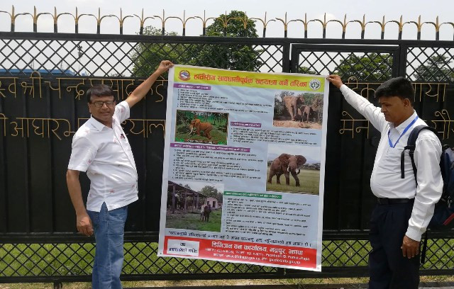 झापामा हात्ती आतंक : गाउँगाउँमा पोस्टर टाँसेर सचेत गराइँदै