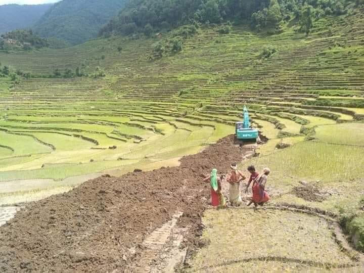 बझाङमा रोपाइँमाथि कुद्ने डोजर फिर्ता