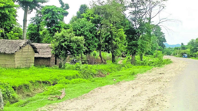 राजनीतिक उक्साहटमा वन क्षेत्र अतिक्रमण