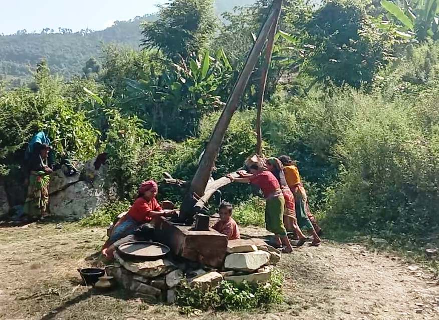 शुद्ध तेलका लागि परम्परागत कोलुको प्रयोग